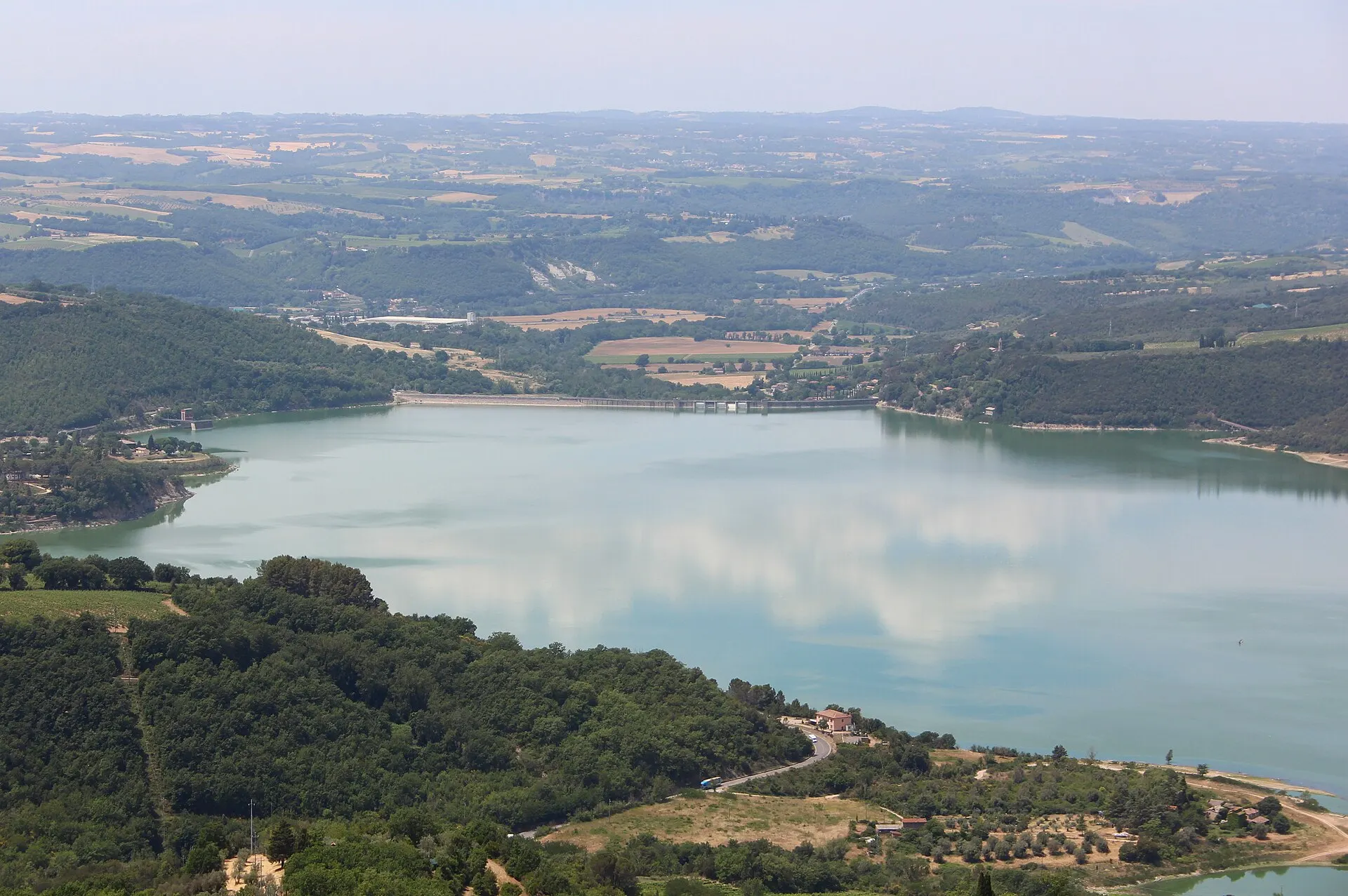 Vines and Olive Groves, on the stage from Civitella del Lago to Baschi